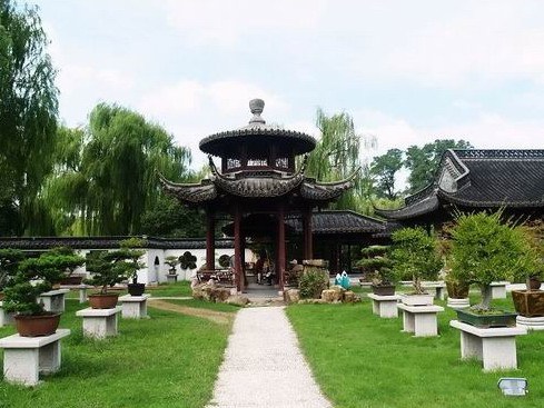 扬州盆景园第45张图片