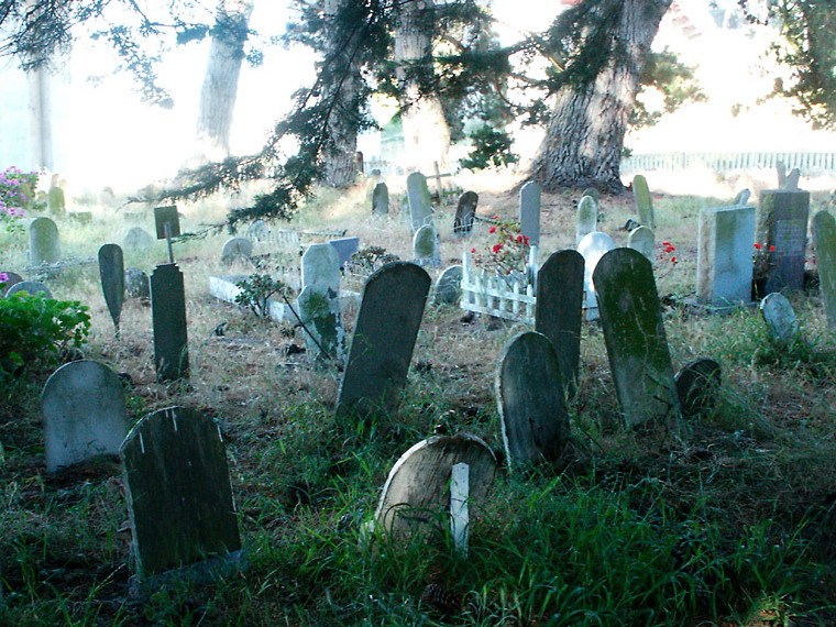 宠物美容店装修图片资料下载-宠物墓园(Pet Cemetery)