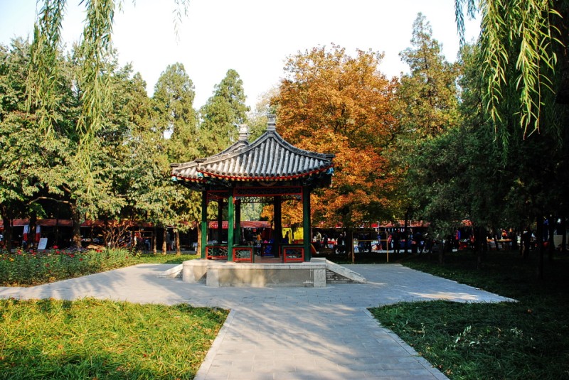 北京地坛-公园案例-筑龙园林景观论坛