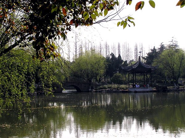 泸州长江生态湿地公园资料下载-上海瀛洲公园