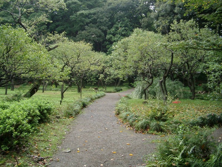 korakuen花园(korakuen garden)(二)