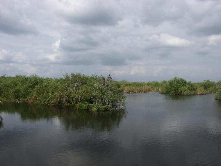 大沼泽国家公园 (Everglades National Park)