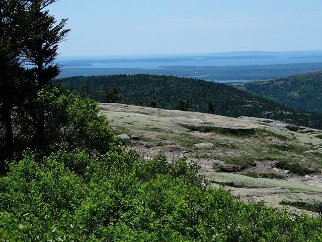 阿卡迪亞國家公園 (acadia national park)