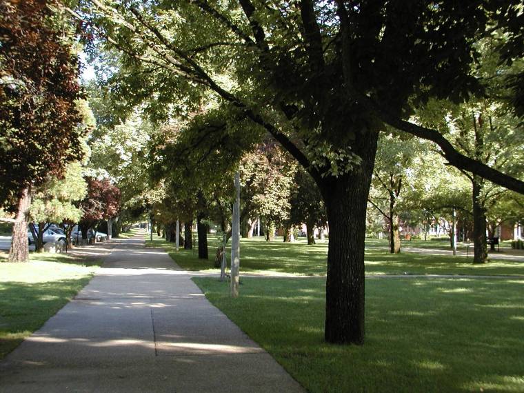 澳大利亚国立大学校园全景(australian national university)-澳大利亚国立大学校园全景(australian national university) 第12张图片