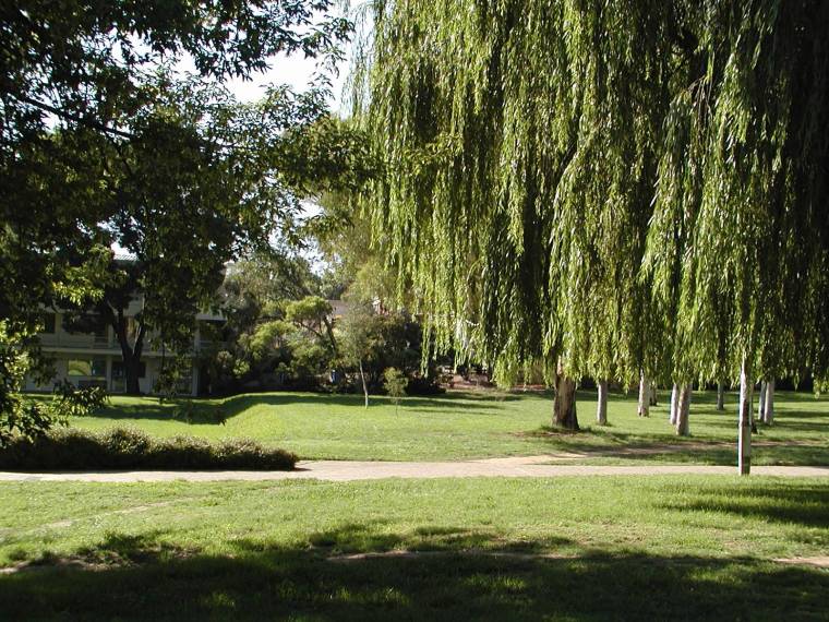 澳大利亚国立大学校园全景(australian national university)-澳大利亚国立大学校园全景(australian national university) 第31张图片