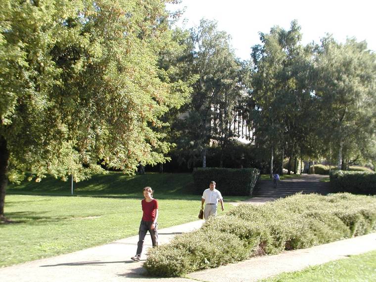 澳大利亚国立大学校园全景(australian national university)-澳大利亚国立大学校园全景(australian national university) 第41张图片