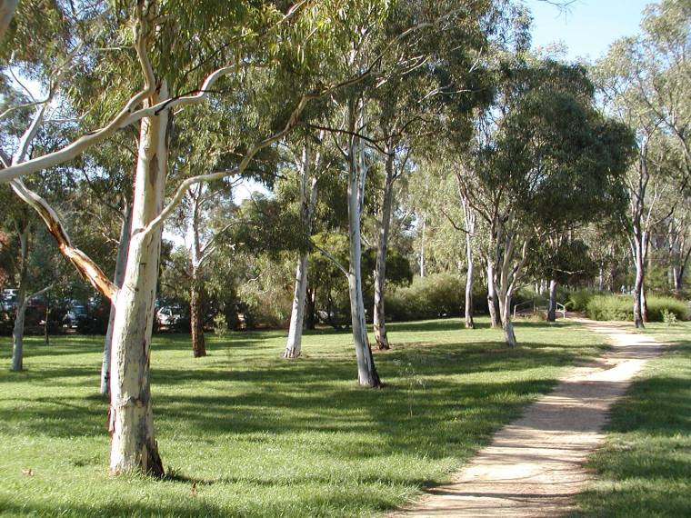 澳大利亚国立大学校园全景(australian national university)-澳大利亚国立大学校园全景(australian national university) 第47张图片