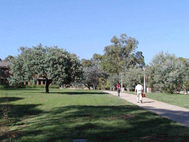 澳大利亚国立大学校园全景(australian national university)-澳大利亚国立大学校园全景(australian national university) 第48张图片