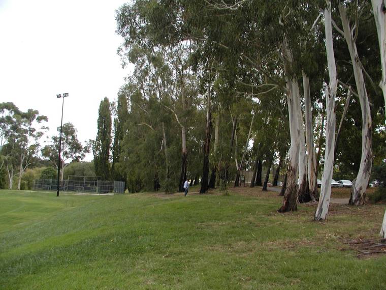 澳大利亚国立大学校园全景(australian national university)-澳大利亚国立大学校园全景(australian national university) 第64张图片