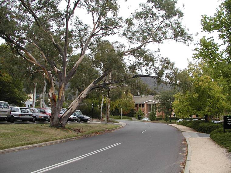 澳大利亚国立大学校园全景(australian national university)-澳大利亚国立大学校园全景(australian national university) 第80张图片