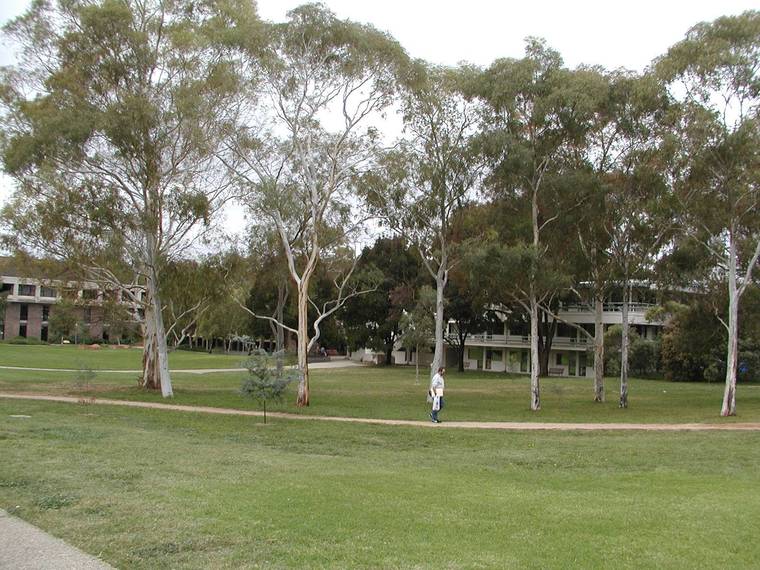 澳大利亚国立大学校园全景(australian national university)-澳大利亚国立大学校园全景(australian national university) 第94张图片