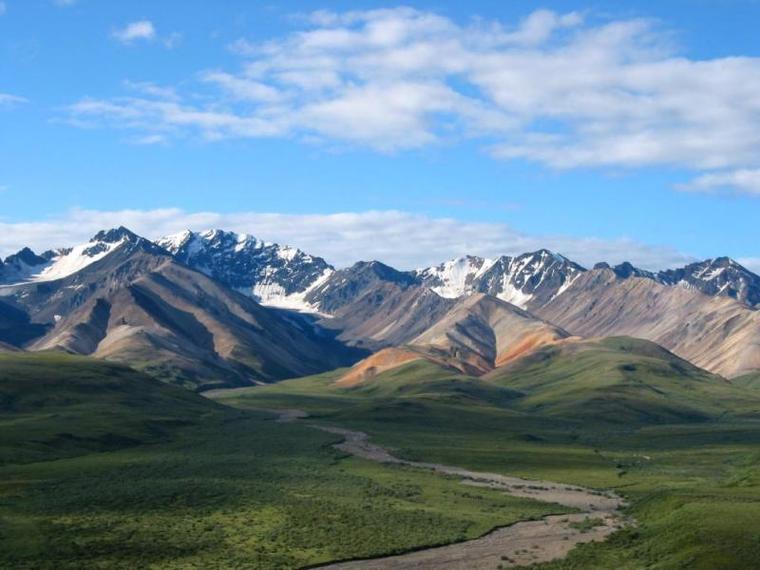 德纳理国家公园 (Denali National Park)