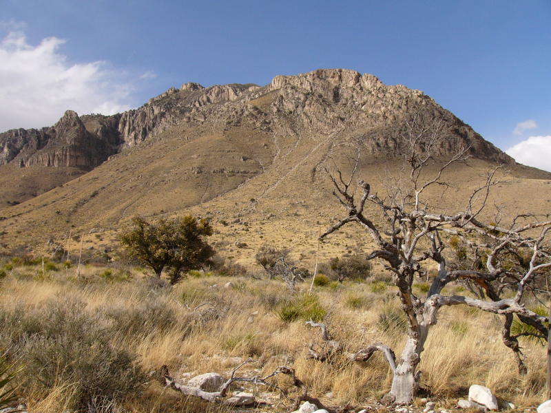 瓜达卢佩山国家公园(guadalupe mountains national park)