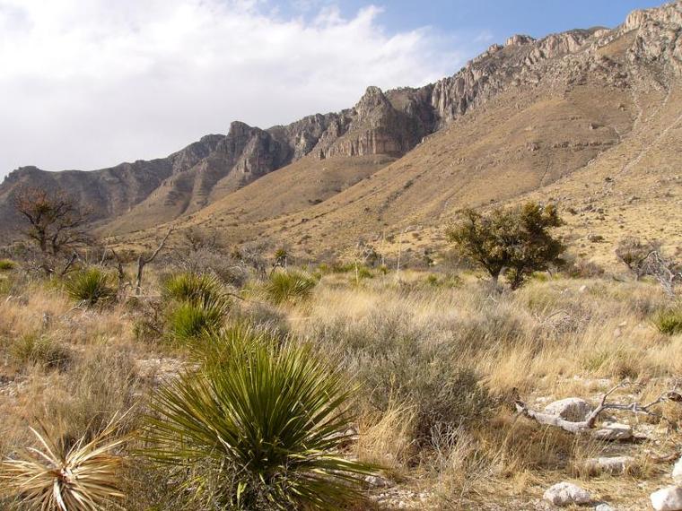 瓜达卢佩圣母堂资料下载-瓜达卢佩山国家公园 (Guadalupe Mountains National Park)