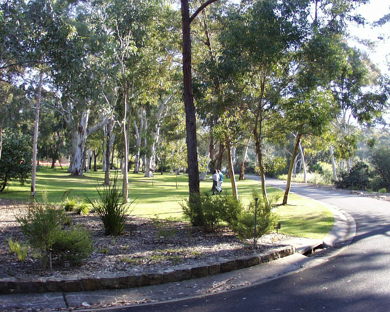 澳大利亞一公園-國外景觀項目案例-築龍園林景觀論壇