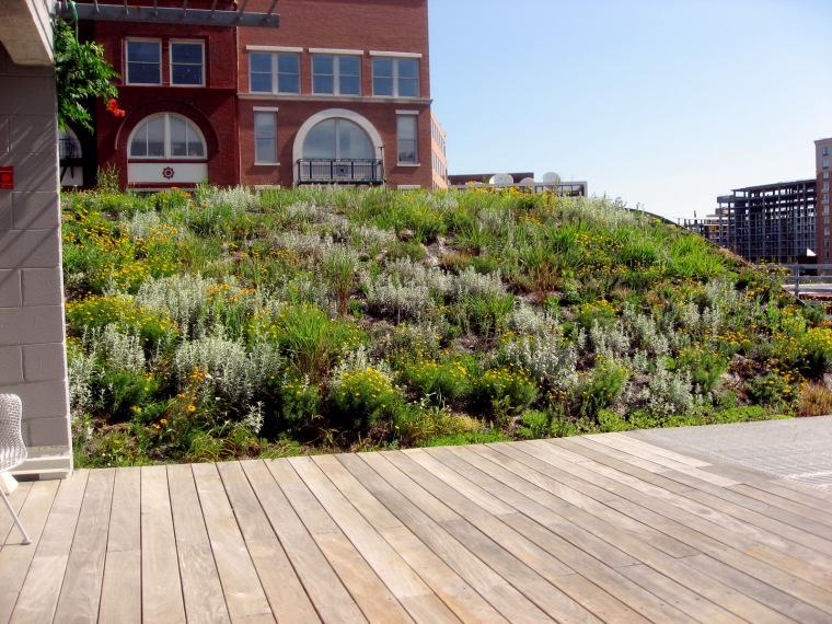 高级园林植物设计师资料下载-美国景色美化设计师协会屋顶绿化专题