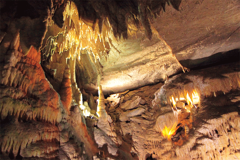 猛犸洞国家公园 (mammoth cave national park)