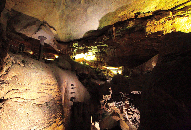 猛犸洞国家公园 (mammoth cave national park)
