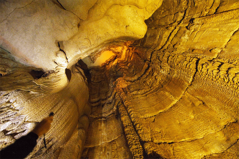 猛犸洞国家公园 (mammoth cave national park)