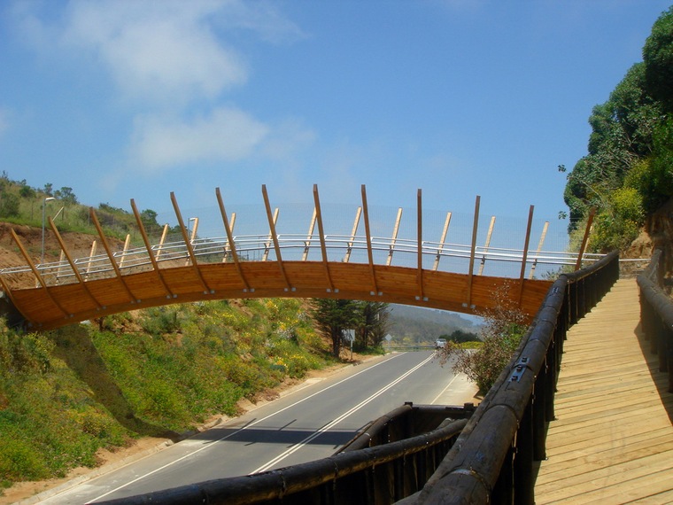 智利zapallar住宅资料下载-Zapallar的人行天桥(Pedestrian Bridge in Zapallar)