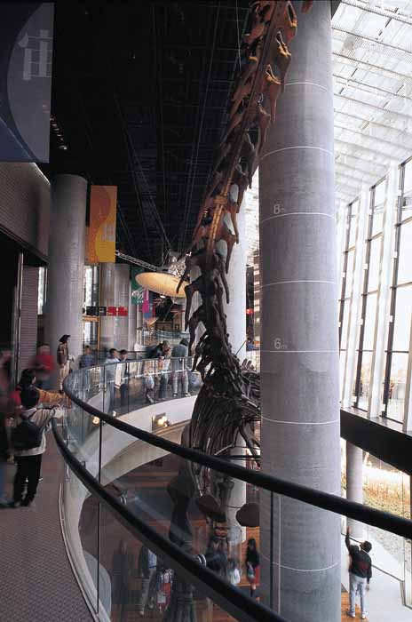 博物馆公园茨城县自然博物馆(ibaraki nature museum)