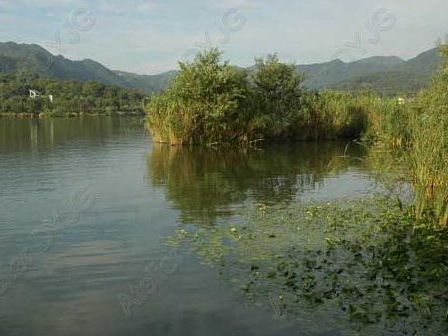 杭州西湖的景观资料下载-杭州西湖西进可行性研究及规划