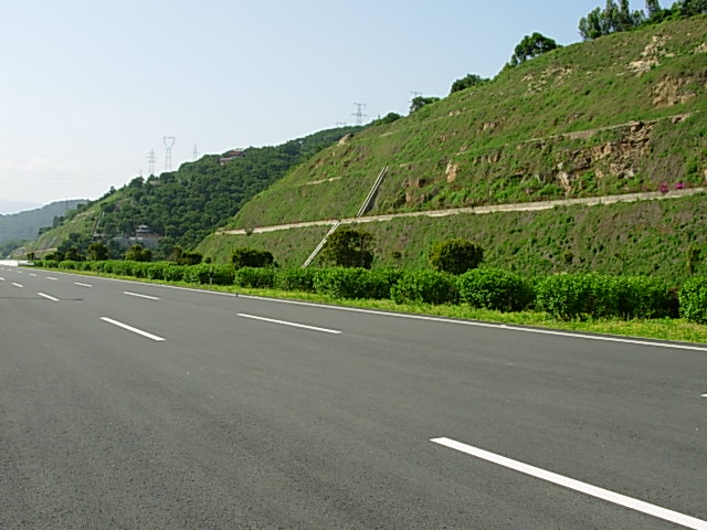 机场高速公路一期现有中分带景观绿化图片