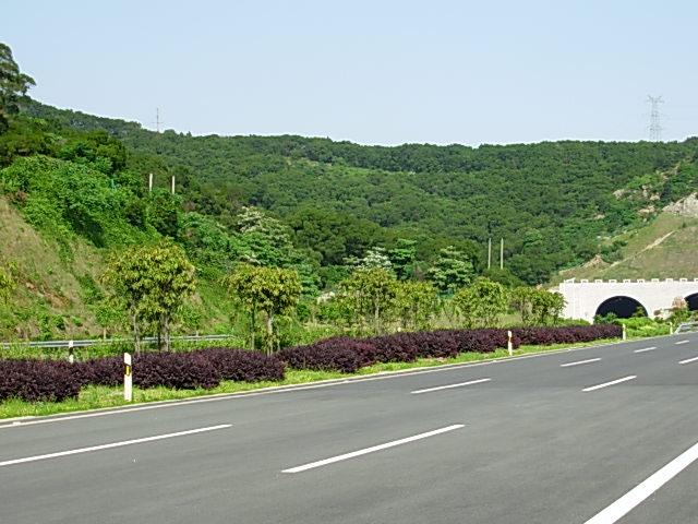 机场高速公路一期现有中分带景观绿化图片
