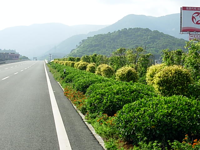 机场高速公路一期现有中分带景观绿化图片