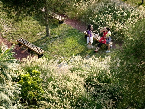 北京校园景观资料下载-北京国际关系学院校园景观设计