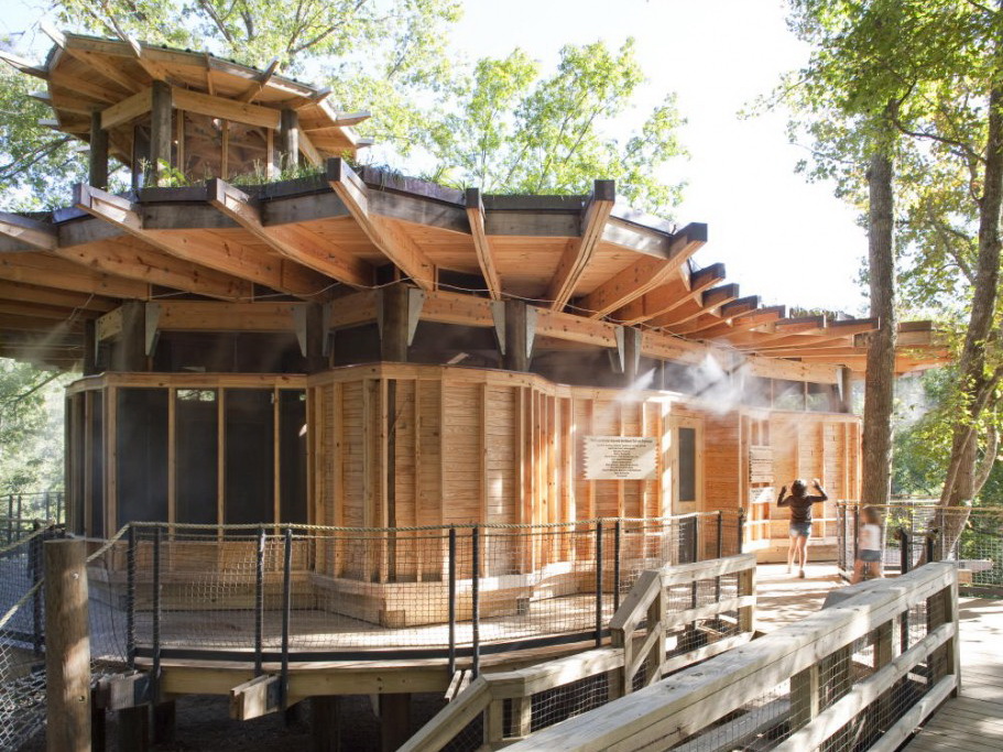 绿色环保树屋-别墅建筑案例-筑龙建筑设计论坛