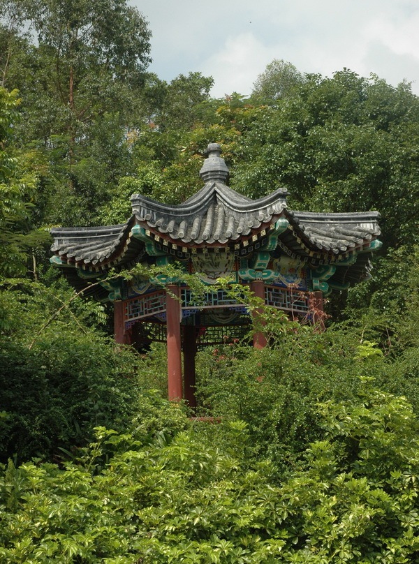 深圳国际园林花卉博览园第25张图片