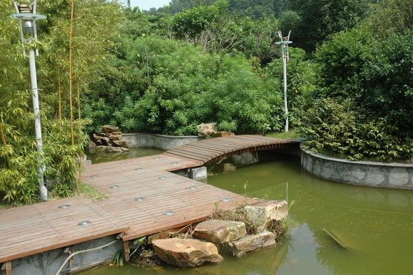 深圳国际园林花卉博览园第35张图片