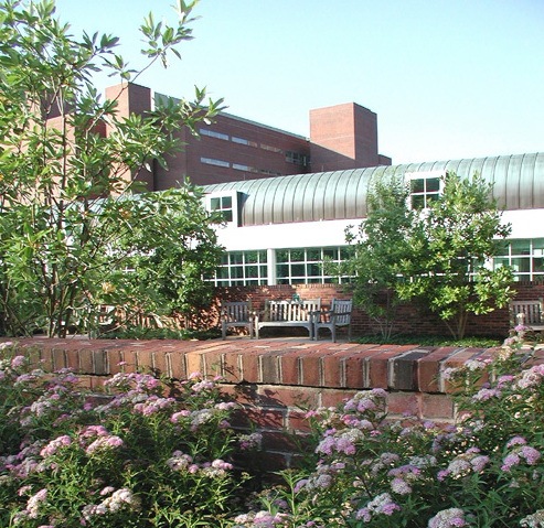 美国弗吉尼亚大学健康系统入口庭院和花园_3