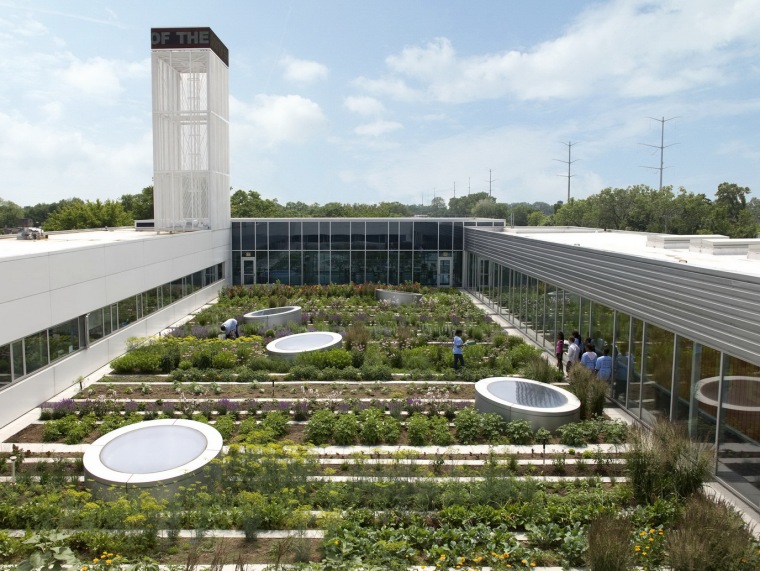 屋顶农业景观设计资料下载-2010ASLA专业奖——城市农业的屋顶港