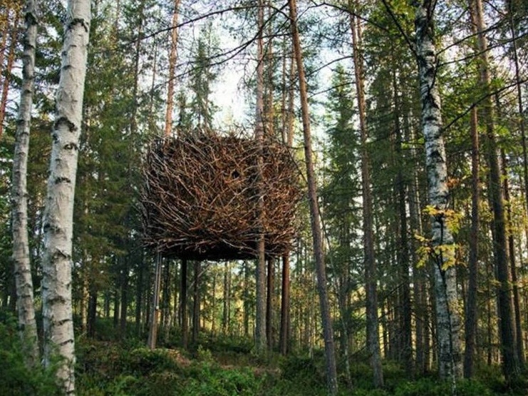 瑞典森林中的环保树屋