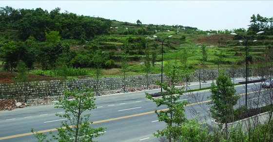 北川羌族自治县西苑中学灾后恢复重建方案第12张图片