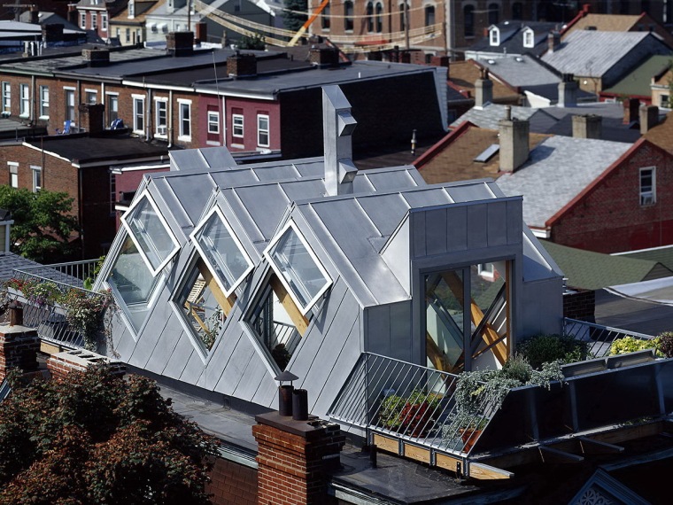 屋顶温室玻璃资料下载-城市屋顶生物