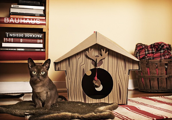 纸质猫咪住宅-艺术设计-筑龙室内设计论坛