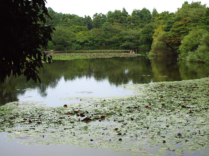 日本龙安寺园林资料下载-龙安寺