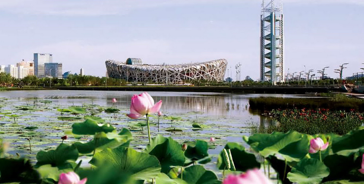 北京奧林匹克公園中心區動感自然花園及湖邊西路綠化工段