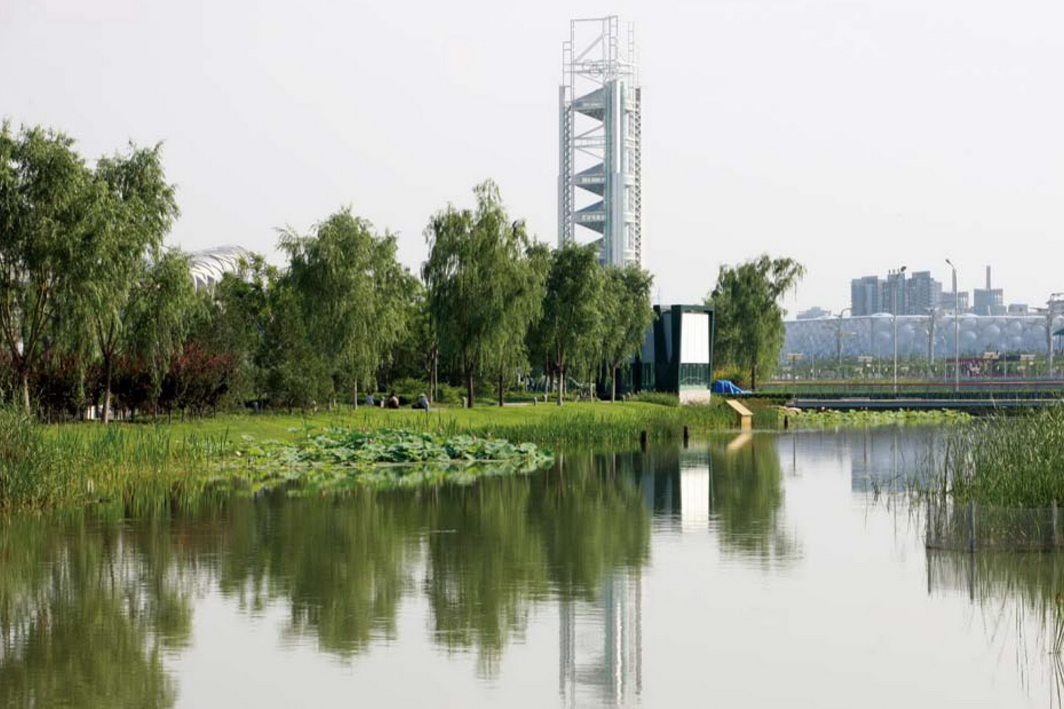 北京奥林匹克公园中心区动感自然花园及湖边西路绿化工段