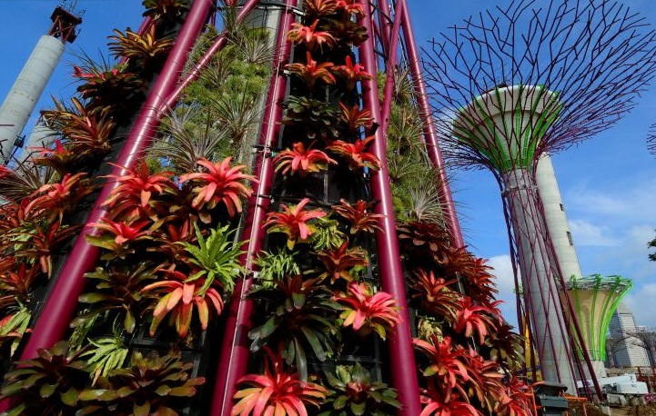 滨海湾花园冷却温室资料下载-新加坡滨海湾花园太阳能超级树