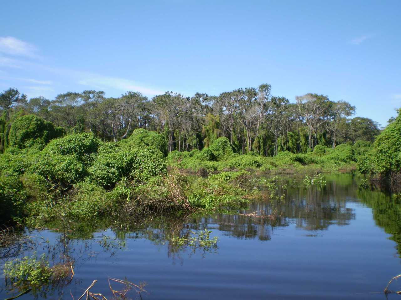 世界最大溼地公園的極致美景