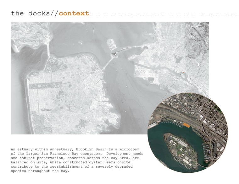 ASLA学生奖之综合设计奖荣誉奖——码头设计：激活布鲁克林盆地的边_3