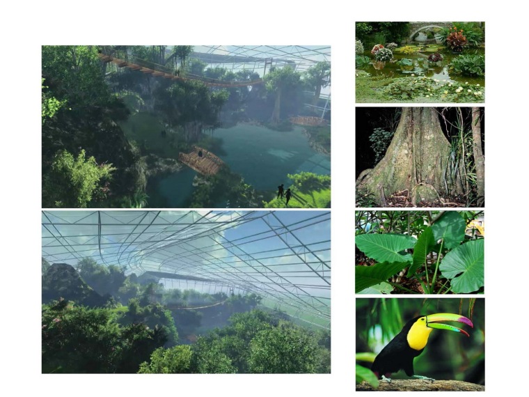 2014青岛世界园艺博览会温室第42张图片