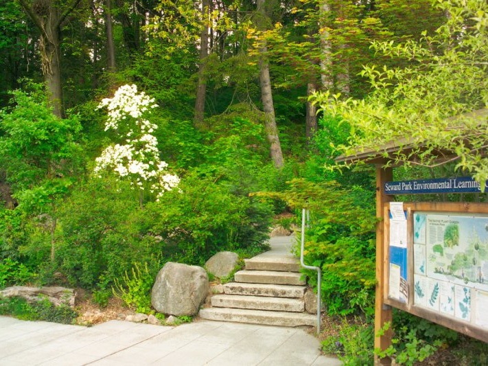 峨眉山市植物公园资料下载-本地植物公园