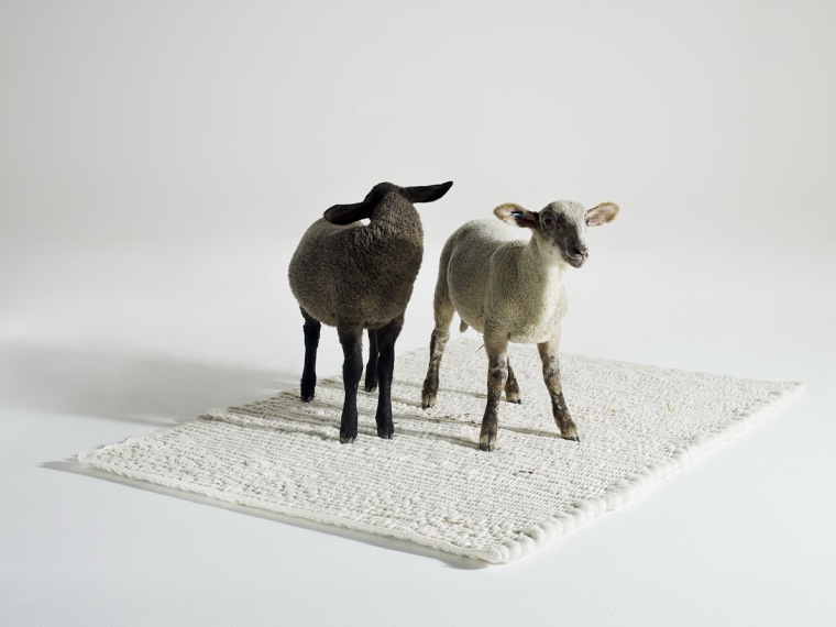 su地毯模型资料下载-肥羊地毯