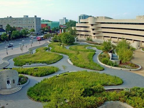 荒芜广场改建为城市草场