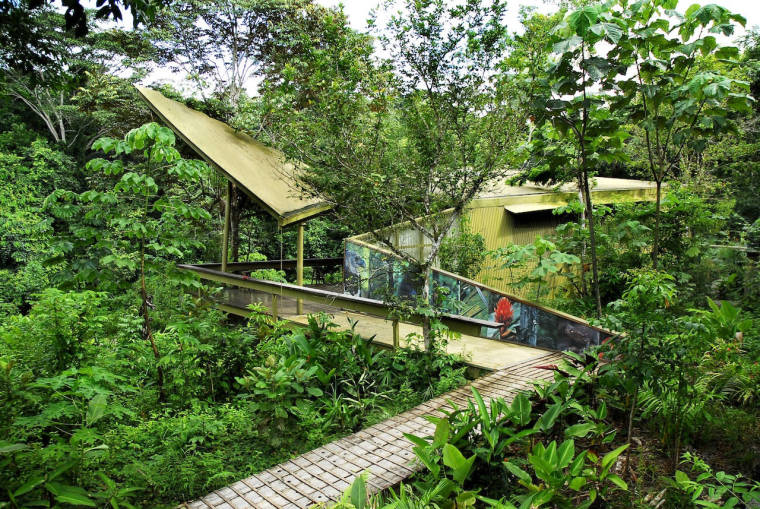 室内热带雨林公园资料下载-热带雨林探索中心